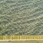 resized_20_api